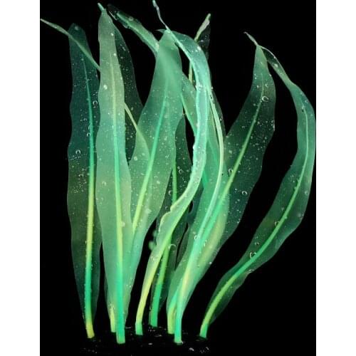 Aquarium decorations Aquarium plants Plants for aquarium decoration aquarium FishTank Decorative Plants Fish Tank Water Plant