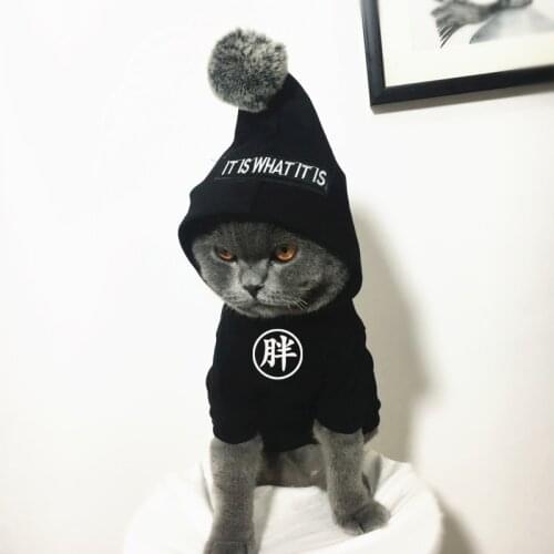 Small Cat Clothes Parent-Child Pet Clothes Cat Clothes Anti-Lint Summer Cat Clothes Hooded T-shirt Free Custom Word Modification