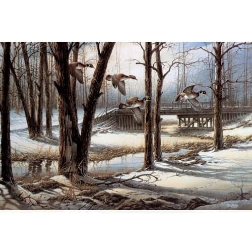 Canvas painting new 1 piece New Thomas Kinkade Terry Redlin April Snow Bird Animal Scenery .Canvas Print decoration for home\R78