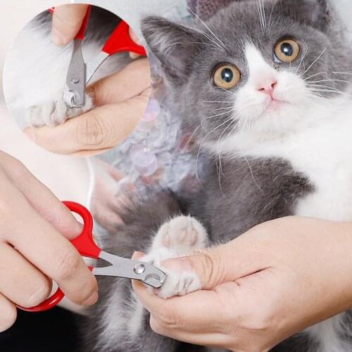 1pcs Professional Pet Dog Puppy Cat Nail Clippers Toe Claw Scissors Trimmer Pet Grooming Products for Small Dogs Cats Puppy