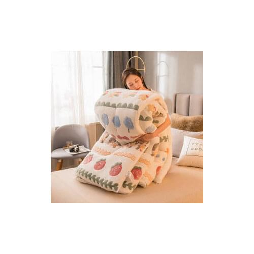 21Autumn and Winter Quilt Double-sided Four Seasons Quilt Thickened To Keep Warm Blankets Feather Bed Soft Quilted Quilt Blanket