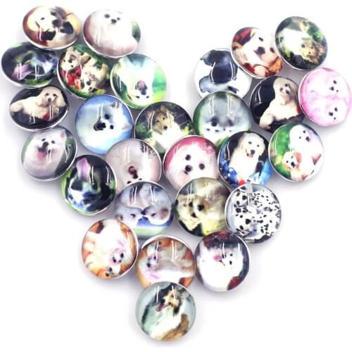 5PCS Mixed Pet Dog Round Dome Snap Press Buttons DIY Crafts Scrapbook Gift Decor Charm Jewelry Accessories Snap Fastener 5.5mm
