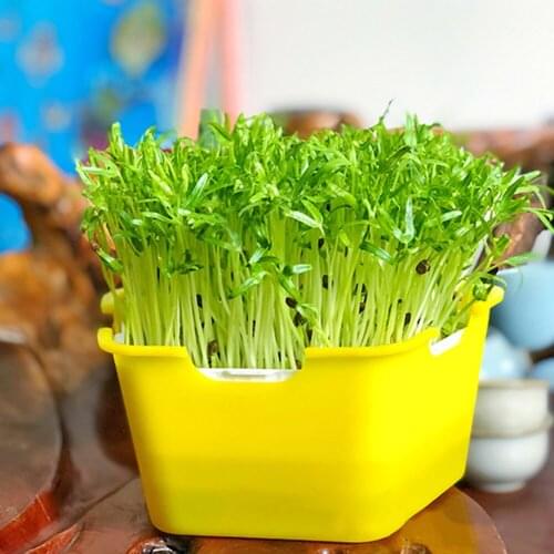 Planting Seed Germination Tray Bean Sprouts Sprouting Seeds Tray Moisture Proof Planting Box Planter Nursery Pot Planting Tool