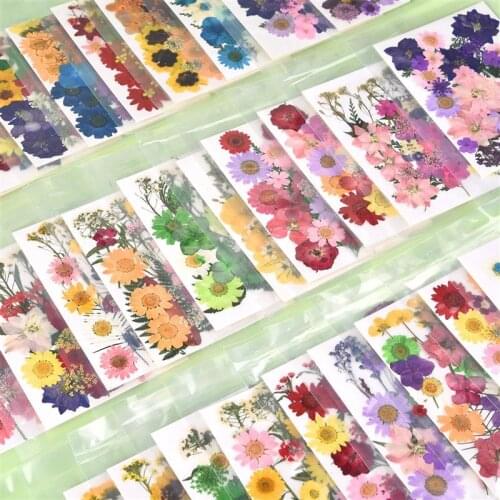 Pressed Real Dried Flower Dry Plants For Candle Epoxy Resin Pendant Necklace Jewelry Making Craft DIY Scrapbooking Accessory