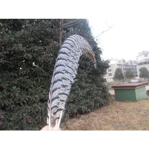 Wholesale 50 pcs rare golden pheasant tail feather cover 32-36 inches / 80-90 cm show party decoration