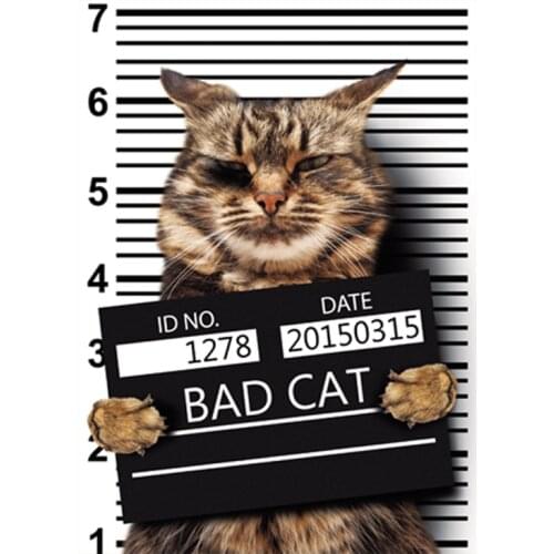 Bad Cat Stickers On The Fabric Fashion Appliqued Diy Tops Vinyl Heat Transfer Iron On Patches Washable Heat Print On Shirt