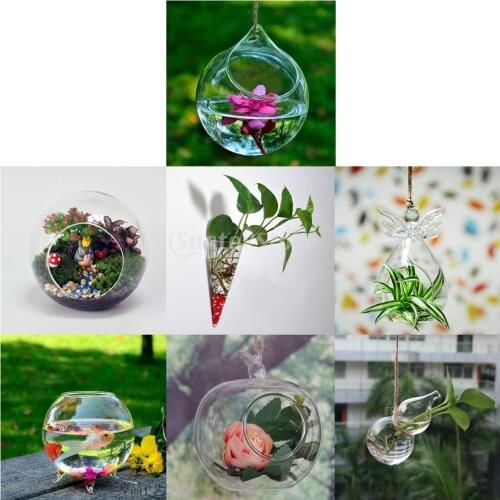 SUNTEK Cylinder Clear Glass Wall Hanging Vase Bottle for Plant Flower Decorations
