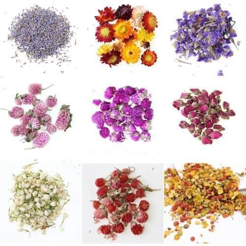 Real Dried Flower Dry Plants For Aromatherapy Candle Epoxy Resin Pendant Necklace Jewelry Making Craft DIY Accessories