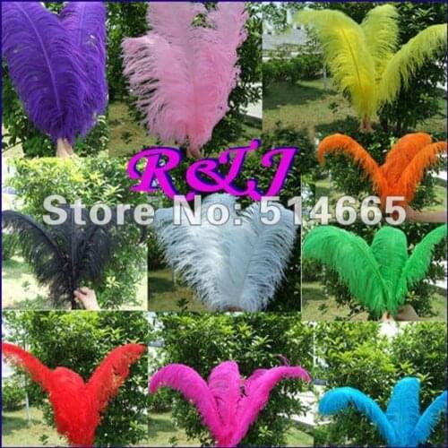EMS Free shipping Cheap ostrich feather 50pcs 26-28 inches 65-70cm assorted 2 colors Ostrich plumage ostrich plume