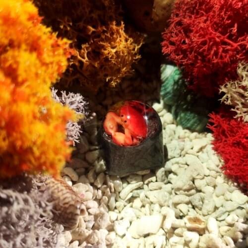 Red Crab In The Water Design Resin Keycaps For Cherry Mx Gateron Kailh Box TTC Switch Mechanical Gaming Keyboard Handmade Keycap