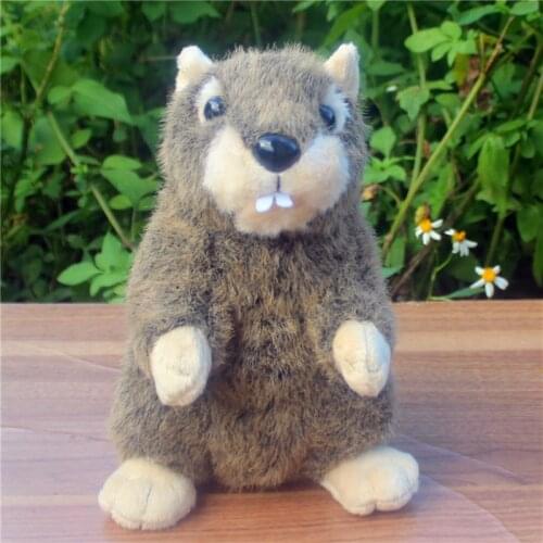 Kawaii simulation animal groundhog plush doll mini soft quality groundhogs pet toy for baby gift 20cm
