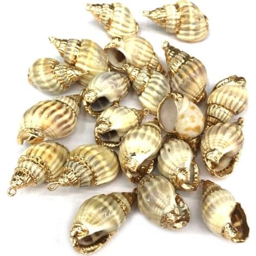 Natural shell fashion Conch Pendants Exquisite Charms for Jewelry Making DIY Bracelet Necklaces earring Accessories Size 15x28mm