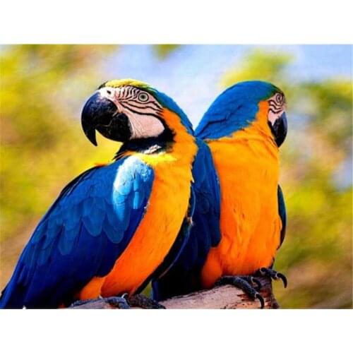 Parrot Bird Animal Printed Canvas 11CT Cross-Stitch Complete Kit DIY Embroidery DMC Threads Knitting Needlework Promotions