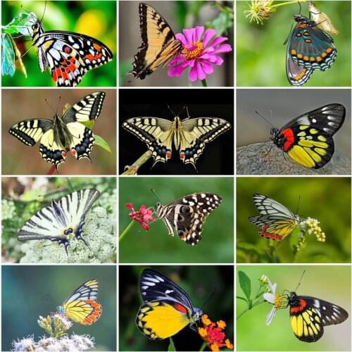 Butterfly Pattern 3D Diy Diamond Painting Cross Ctitch Kits Diamond Art Crystal Mosaic Embroidery Painting New Year Gift
