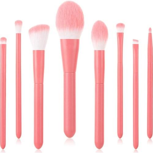 PHILVINI Blush Brushes