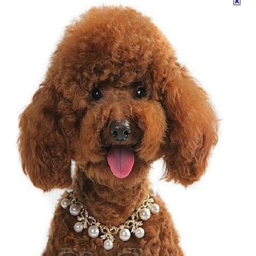 The new 2017 pearl pet collar alloy diamond dog necklace jewelry pet bow necklace 10pcs