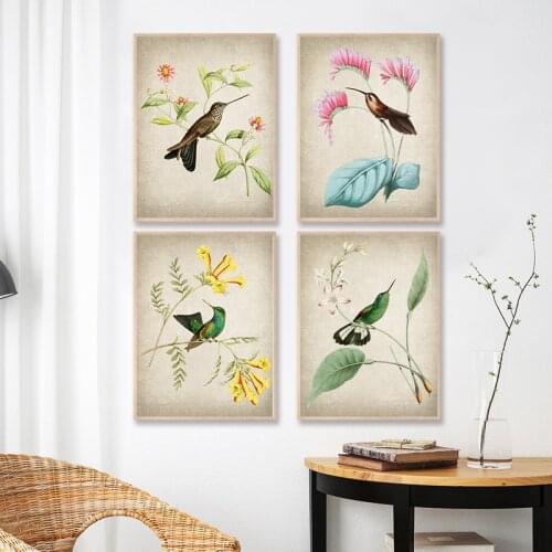 Hummingbird Antique Illustrations Posters Birds and Botanical Art Prints Plants Canvas Painting Living Room Home Wall Art Decor