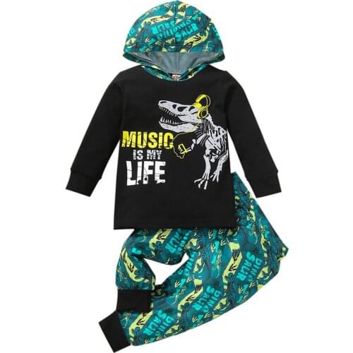 Nituyy Official Autumn 2 Pcs Infant Color Block Outfits, Baby Dinosaur & Letter Print Long Sleeve Hooded Sweater + Trousers