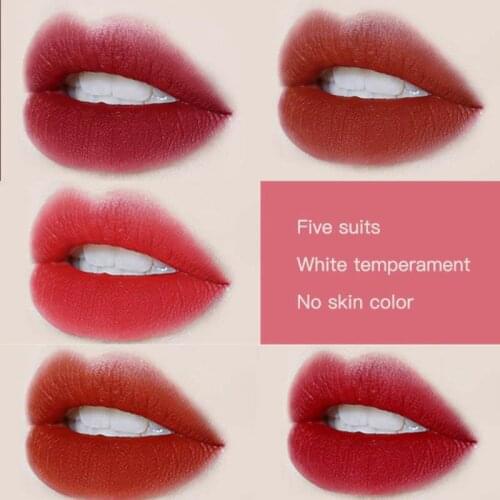 5pcs/set Velvet Matte Lip Gloss Glaze Set Lasting Moisturizing Liquid Lipstick Waterproof Lip Tint Lip Makeup Cosmetics TSLM2