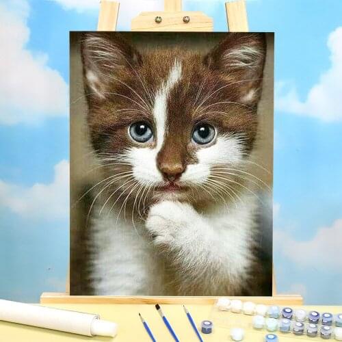 Animal Cat Coloring By Numbers Painting Complete Kit Acrylic Paints 40*50 Paiting By Numbers Decorative Paintings For Art