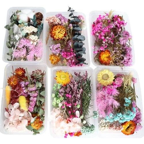 1 Box Dried Flowers UV Resin Decorative Natural Flower Stickers 3D Dry Beauty Decal Epoxy Mold DIY Filling Making Craft