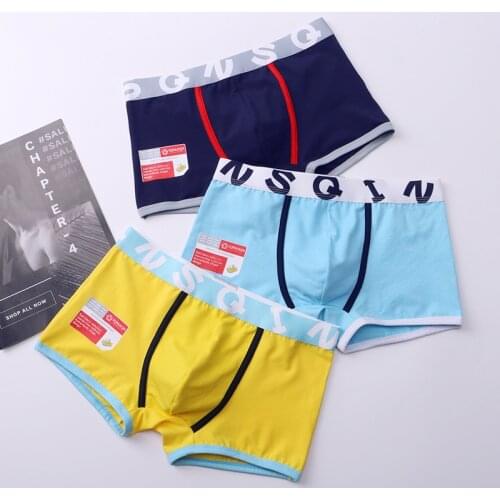 Men Underwear boxer cotton Cuecas Boxers Mens boxer shorts Underwear sexy U convex pouch Man breathable Mens panties