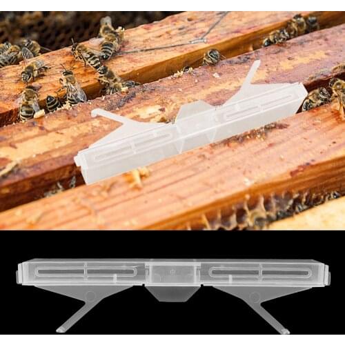 Beetle Insect Bug Traps Pest Control Household Outdoor Small Beekeeping Tools Garden Supplies