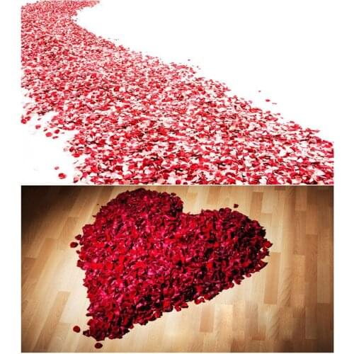 Beauty-Emily Accessories For Lingerie