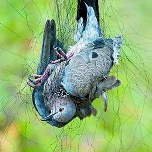 Behogar 18x4m Large Anti Bird Pond Green Garden Mesh Netting And Fencing for Plant Protection Prevent Dove Turtledove 5x5cm Hole