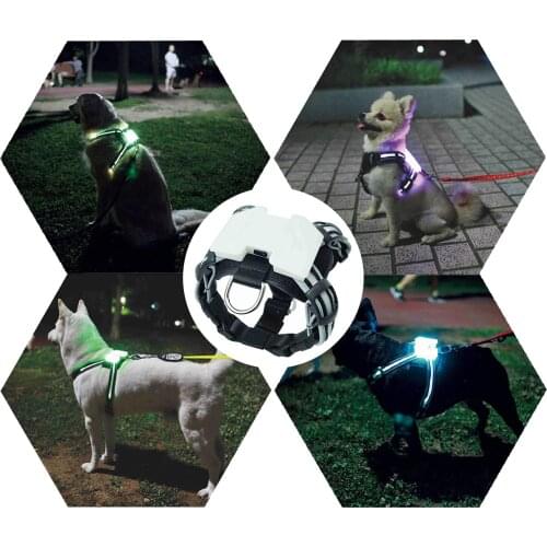Factory Wholesale Led No Pull Dog Harness Collar Led USB Chargeable Harness and Leash for Dog