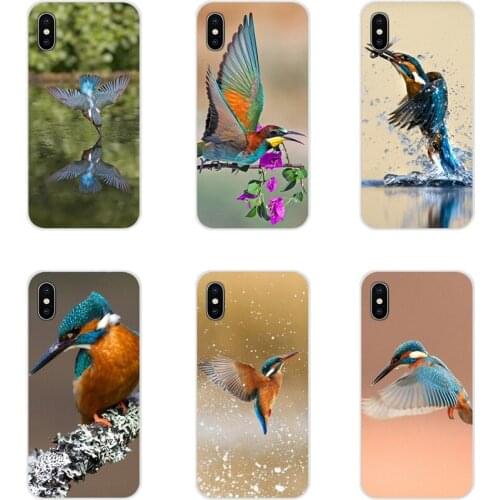 Animal Bird Kingfisher For Apple iPhone X XR XS 11Pro MAX 4S 5S 5C SE 6S 7 8 Plus ipod touch 5 6 Accessories Phone Cases Covers