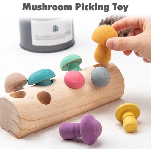 Wooden Building Blocks Montessori Educational Toys Mushroom Picking Game Baby Toys Concentration Training Rainbow Gift For Kids
