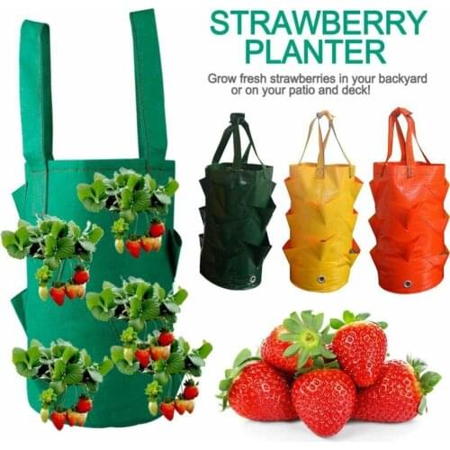 Plastic Planter Bag Flower Herb Strawberry Hanging Planter Growth Bag Pouch for Home Garden