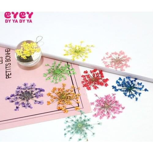 12PCS lace flower 2-2.5cm Natural Dried Flowers DIY Pressed Herbarium Flower Decorative Crafts glass globe filler findings