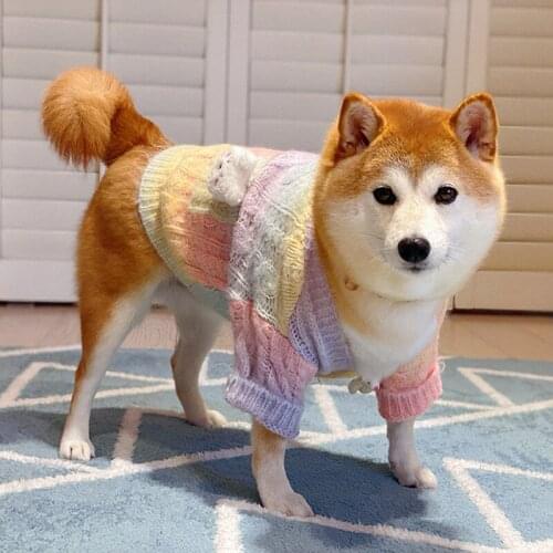 PETKIT Costumes For Dogs