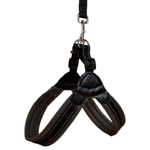 Dog Harness No Pull Soft Padded 2 Adjustable Botton, 3M Reflective Pet Harness Easy Control for Small Medium Large Dogs