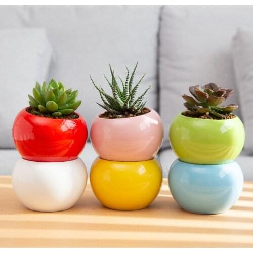1PC Mini More meat Flower Pot For Succulents Fleshy Plants Flowerpot Ceramic Small Home/Garden/Office Decoration pots flowers