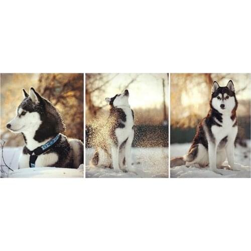 3pcs diamond embroidery Huskies dog,5d diamond painting full diamond mosaic pictures of rhinestones cross-stitch kits gift art