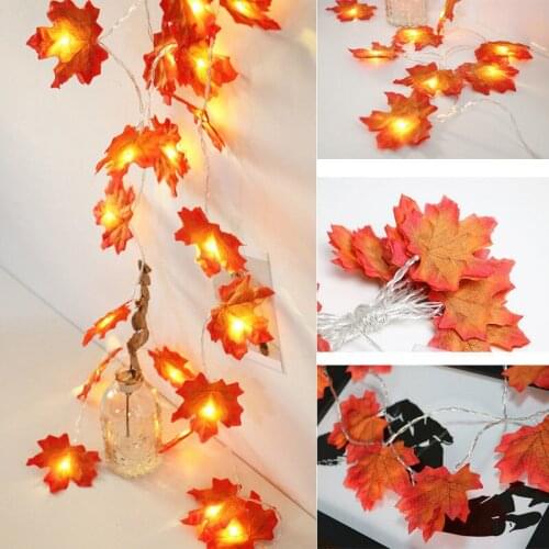 Hansoland LED Holiday Light Bulbs