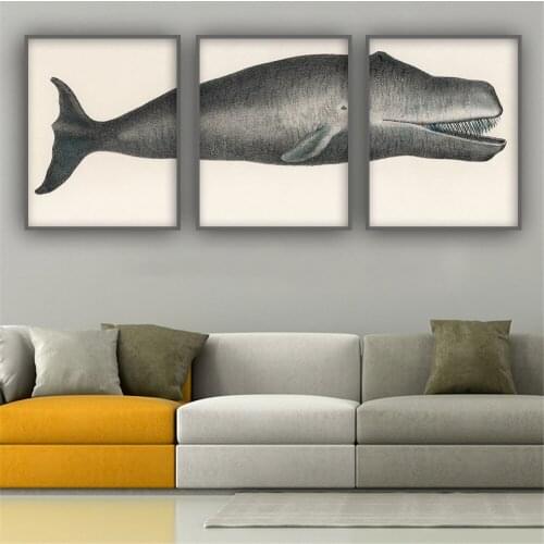 Print Humpback Whale Big Fish Poster Set Of 3 Whale Art Print Whale Triptych Bathroom Wall Art Marine Biology Wall Painting