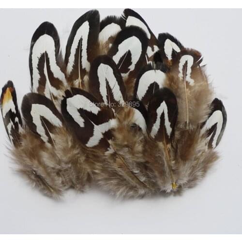 Wholesale!~ 200Pcs 4-9cm Pheasant Chicken Feather For DIY Crafts Christmas Cosplay Show Clothing Show Headwear Decoration Plume