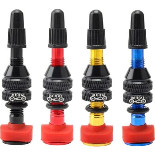 55mm Valve for Compatible Road MTB Bicycle Tubeless Tires Brass Core Alloy Stem Tubeless Sealant Bicycle Tyre Accessories