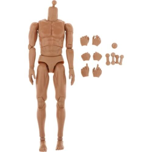 1/6th Scale Super-Flexible Muscular Male Action Figures Body 28CM Height with