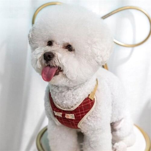 Pet Supplies Home Vest Type Traction Rope Cat Dog Small And Medium Sized Dog Chest Strap Dog Rope Suitable For Dogs Of 1-12kg