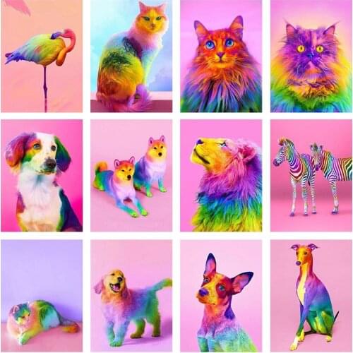 Full Square Round Drill 5D DIY Diamond Painting Colorful Animal Dog Cat Lion Diamond Embroidery Mosaic Kits Home Decor Art