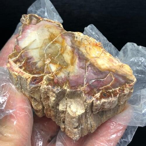 Natural Petrified Wood Fossil Original Stone Raw Rock Crystal Quartz Mineral Specimen Healing Reiki Home Decor