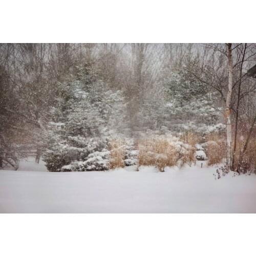 Christmas Backdrop Ancient Trees Noel Party Photography Backdrop Snowfield Peace Rustic Wood Door Rural Background Photo Studio