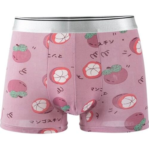 4XL Large Size Summer Ice Silk Breathable Fashion Yong Man Fruit Print Boxers Thin Middle Waist Elasticity Cartoon Underwear