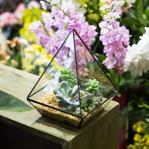NCYP Modern Handmade Glass Terrarium Indoor Flower Succulent Plant Planter Pot Geometric Glass Decoration Bonsai Terrarium Gift
