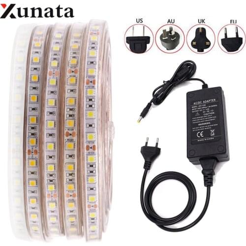 DC12V 5050 LED Strip Waterproof Warm White /White 60LEDs/m Flexible Tape LED Light for Home Decoration Lighting